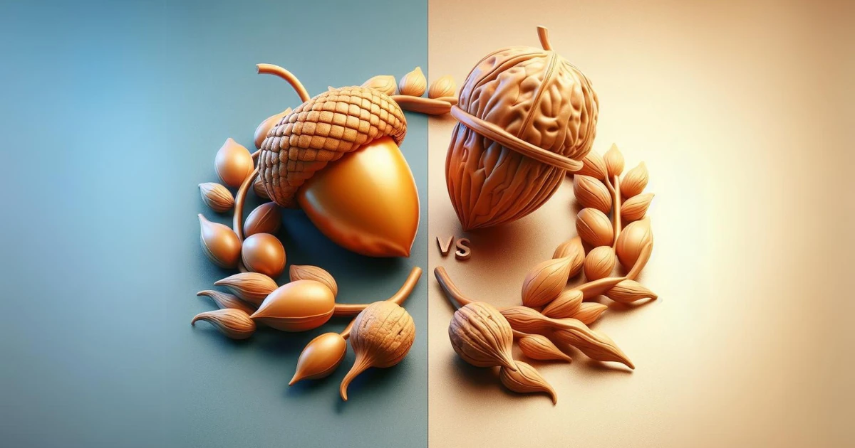 Acorn vs. Walnut: Comparing the Health Effects and Nutritional Composition 10 Acorn vs. Walnut